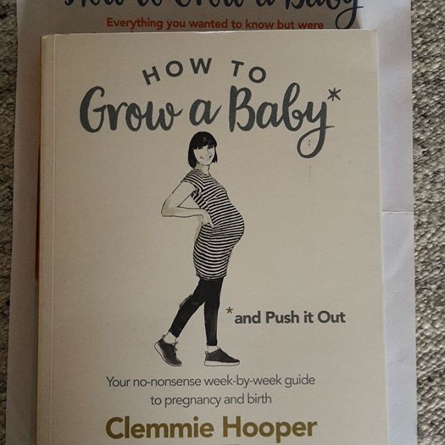 BIRTHING LITERATURE : HOW TO GROW A BABY AND PUSH IT OUT BY CLEMMIE HOOPER